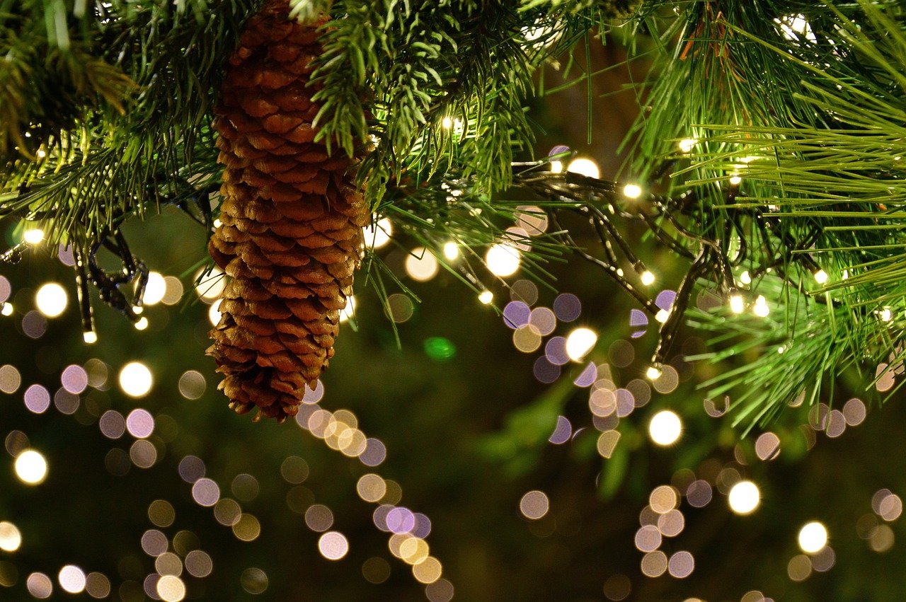 Un sapin de Noël de 20m prend place à Toulouse - Toulouseblog.fr