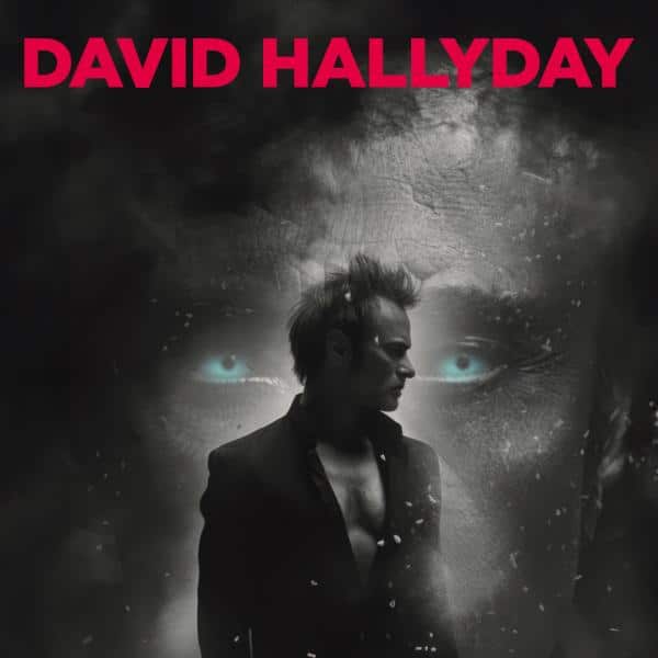 David Hallyday en concert à Toulouse 