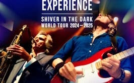 THE DIRE STRAITS EXPERIENCE
