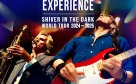 THE DIRE STRAITS EXPERIENCE