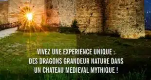 Game of dragons au Château de Puivert du 28 juin au 15 septembre 2024
