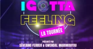 I GOTTA FEELING : LA TOURNEE au Zénith de Toulouse Métropole 24 octobre 2024 à 20h