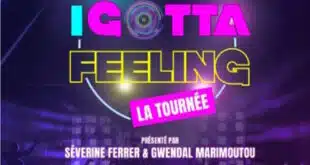 I GOTTA FEELING : LA TOURNEE au Zénith de Toulouse Métropole 24 octobre 2024 à 20h