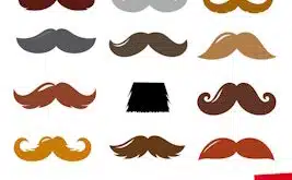 La Moustache, débarque au théâtre des 3T pour 7 nouvelles dates