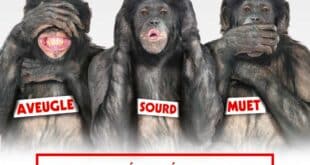 Les Bonobos, pour 3 dates au théâtre des 3T en juillet 2024