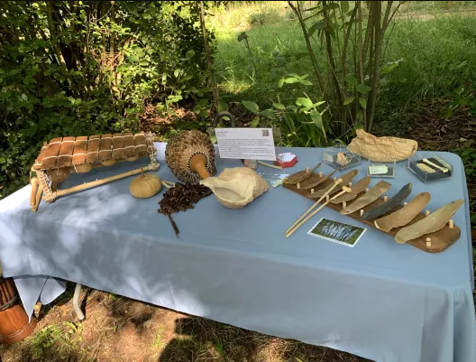 Nature et Musique : L'atelier fascinant du Muséum de Toulouse pour ...