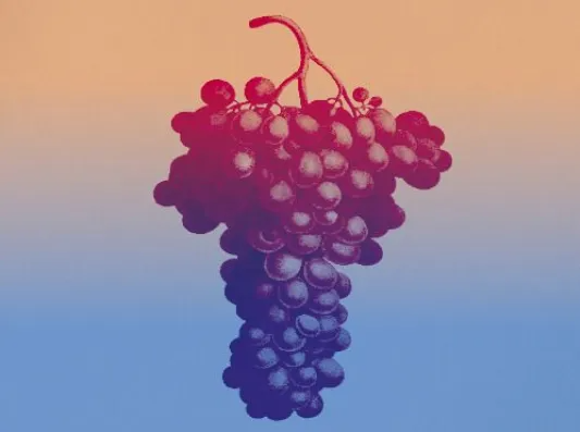 Fête des Vendanges 2026 : Une journée champêtre et gratuite au Domaine de Candie à Toulouse !